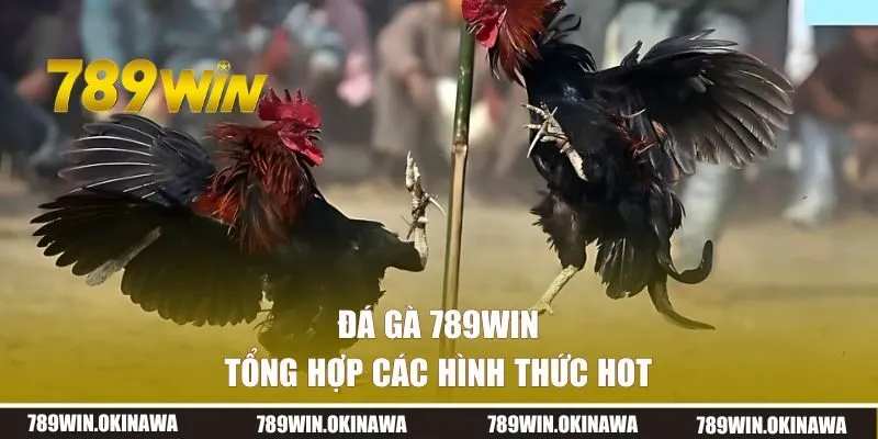 Tổng hợp các hình thức hot