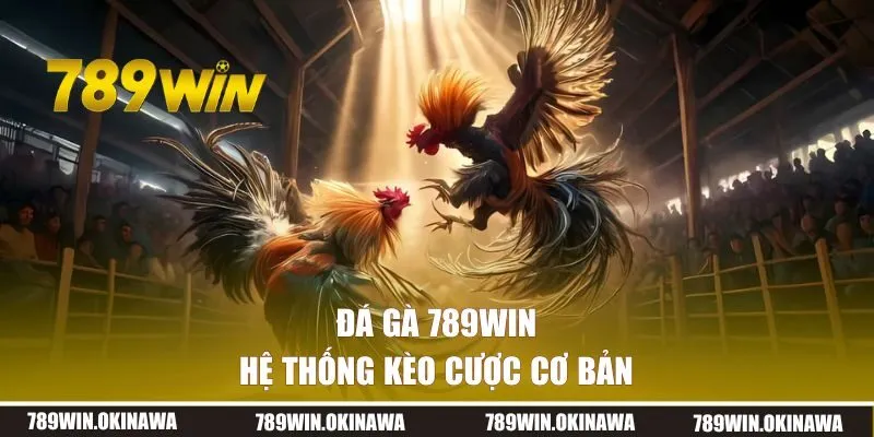 Hệ thống kèo cược cơ bản