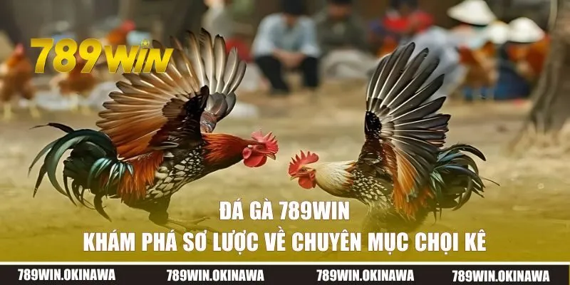 Khám phá về chuyên mục đá gà 789WIN