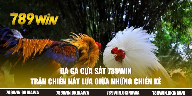 Đá gà cựa sắt