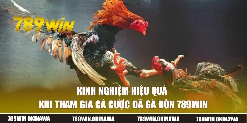 Kinh nghiệm hiệu quả khi tham gia cá cược đá gà 789WIN