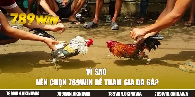 Vì sao nên chọn 789WIN để tham gia đá gà online?