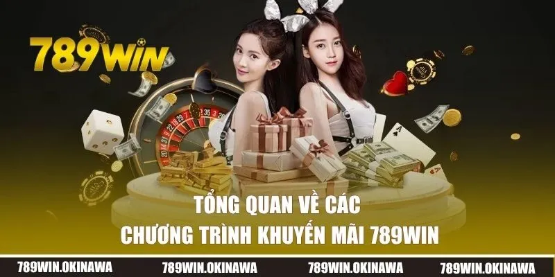 Tổng quan về các chương trình khuyến mãi 789win
